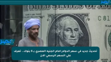تحديث جديد في سعر الدولار أمام الجنيه المصري بـ 6 بنوك.. تعرف على السعر الرسمي الآن